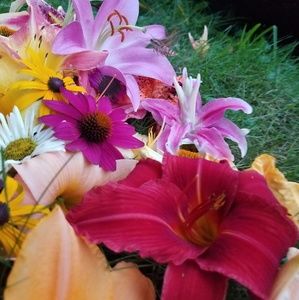 Meet your Posher, Eve